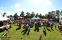 images/2016album/ABF_5963.jpg
