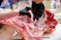 images/2018album/ABFH4751-BBQ-Nieuwkoop-7-7-2018.jpg