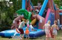 images/2018album/ABFH4786-BBQ-Nieuwkoop-7-7-2018.jpg