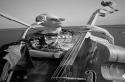 images/2022-album/J22H1764.jpg